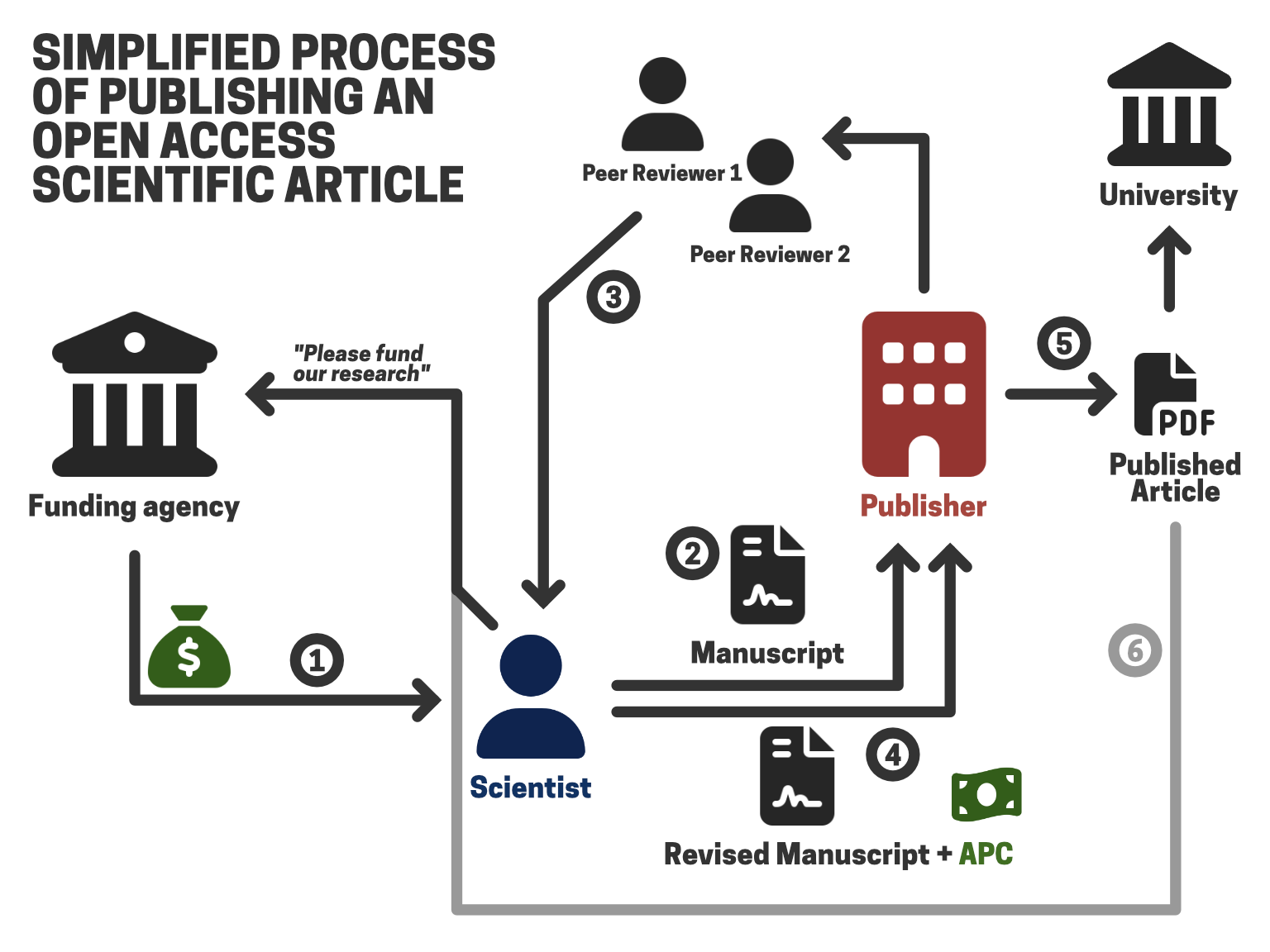 schematic of the scientific publishing process