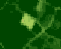 The NDVI visualization in the Copernicus Browser for the same plots